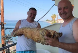 (VIDEO) Kad Srbi krenu na more: Jagnje od 27 kilograma NA PLAŽI u Grčkoj "Nismo više paradajz turisti"