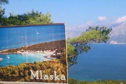 „Goste izbacuju na ulicu usred turističke sezone“ Inspekcija zatvorila poznati kamp na otoku Hvaru