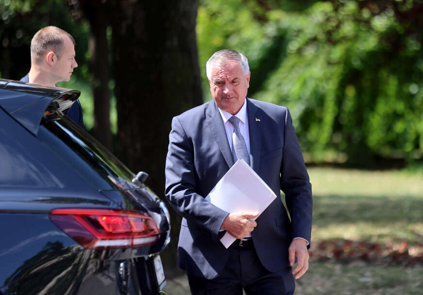 radovan višković premijer rs 