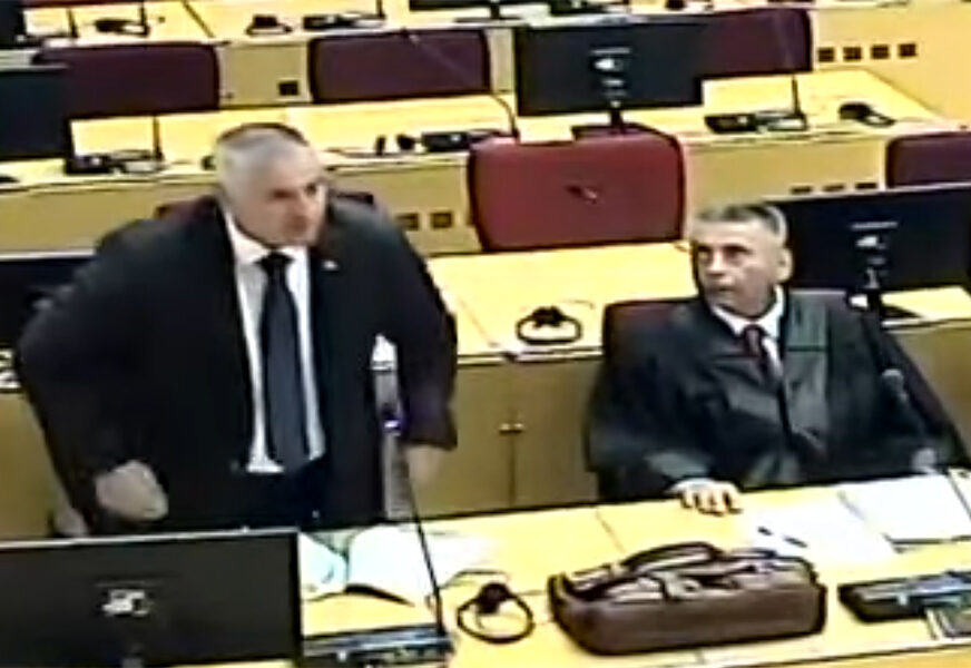 radovan višković u sudu bih 