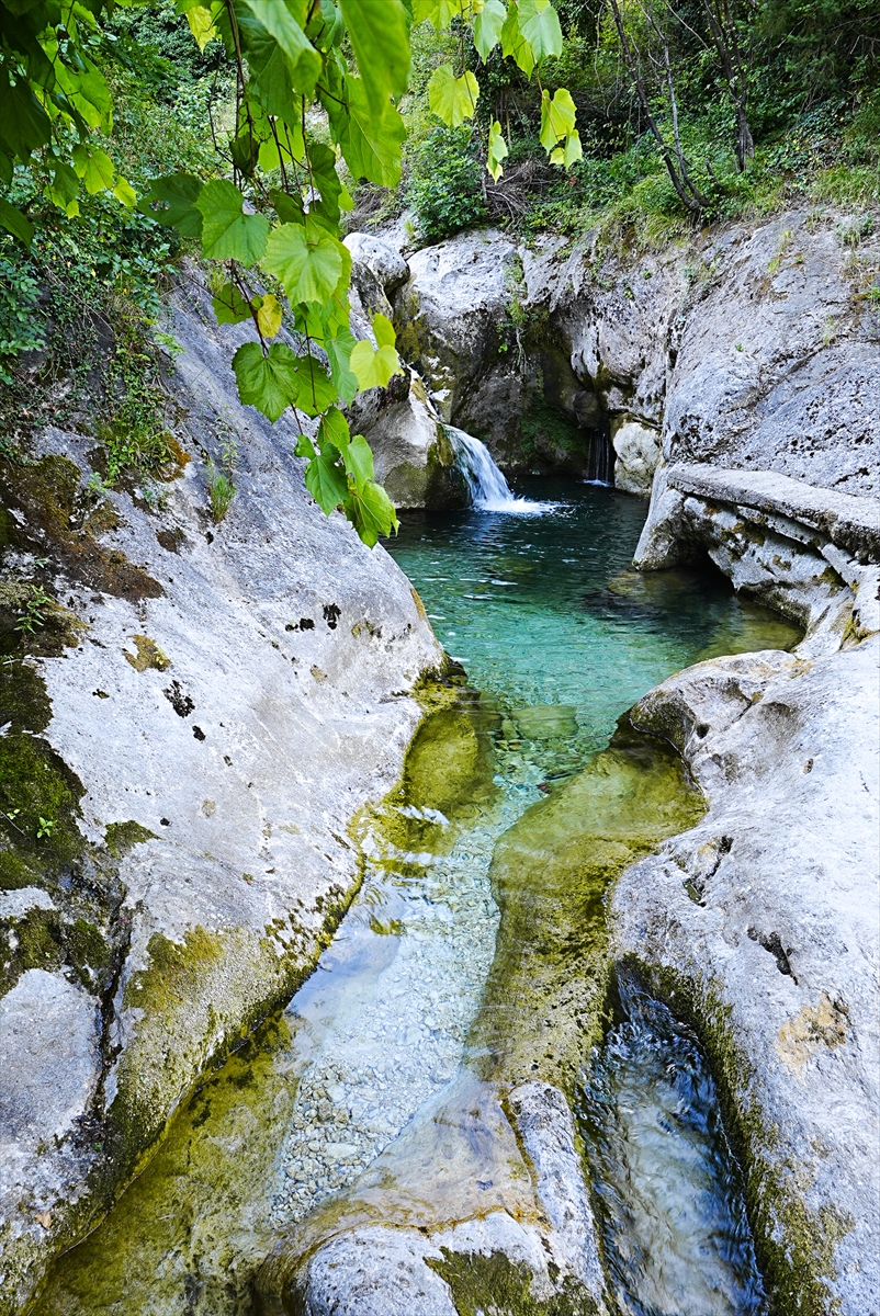 rječica Drežanka