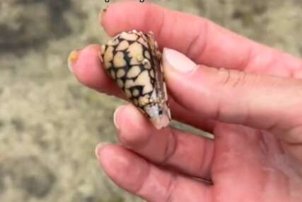 (VIDEO) "NAJVEĆA GREŠKA U ŽIVOTU" Djevojka pronašla školjku na plaži, a nije bila svjesna u kakvoj se opasnosti našla