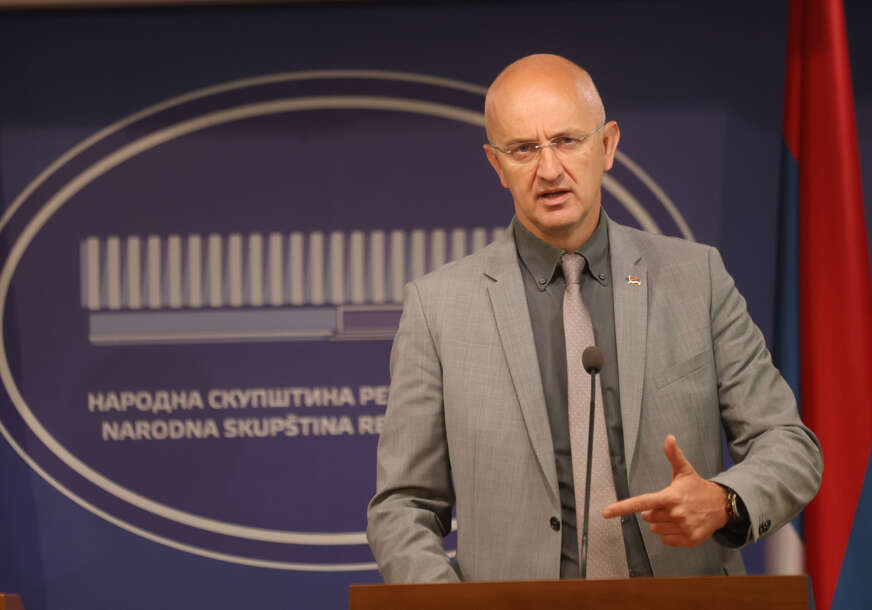 srdjan mazalica snsd 