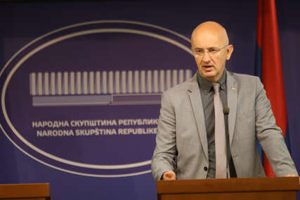 srdjan mazalica snsd