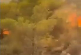 (VIDEO) GORI HALKIDIKI Na terenu desetine vatrogasaca i helikopter, u toku gašenje katastrofalnog požara