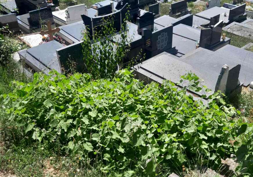 Gradsko groblje Pobrđe