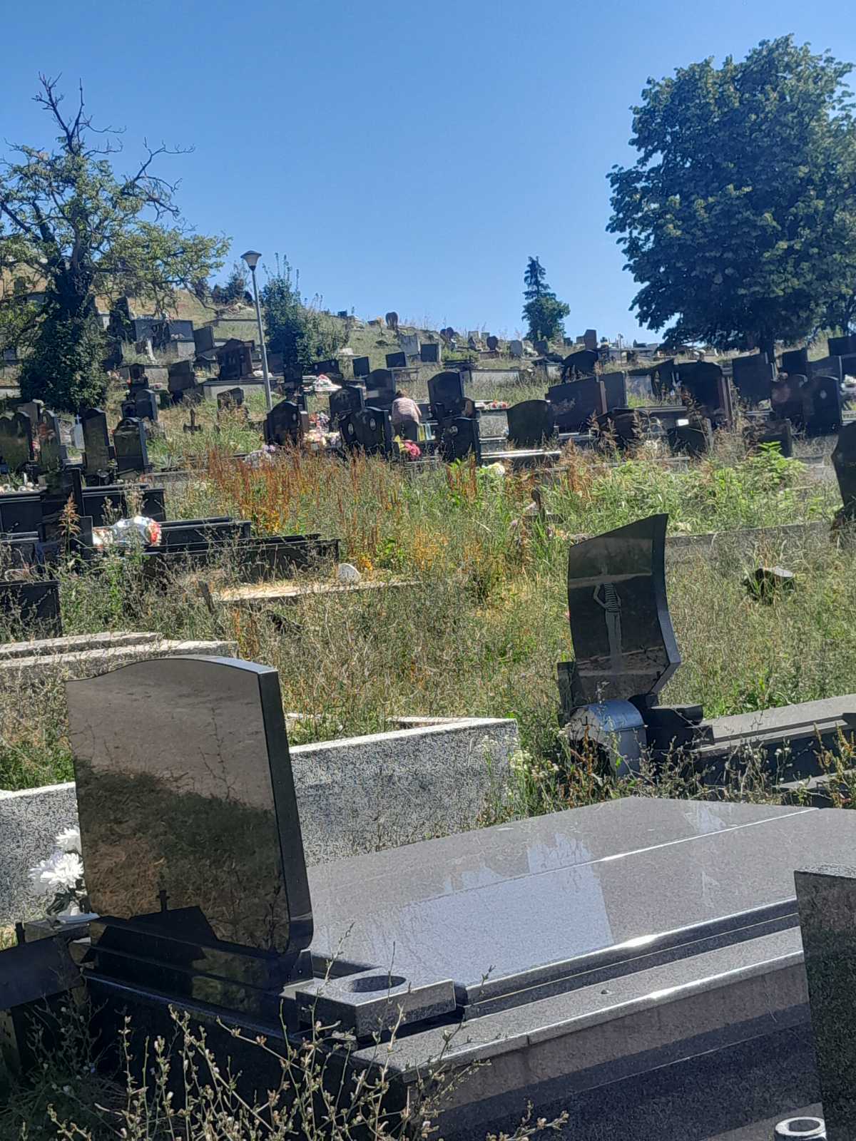 Gradsko groblje Pobrđe