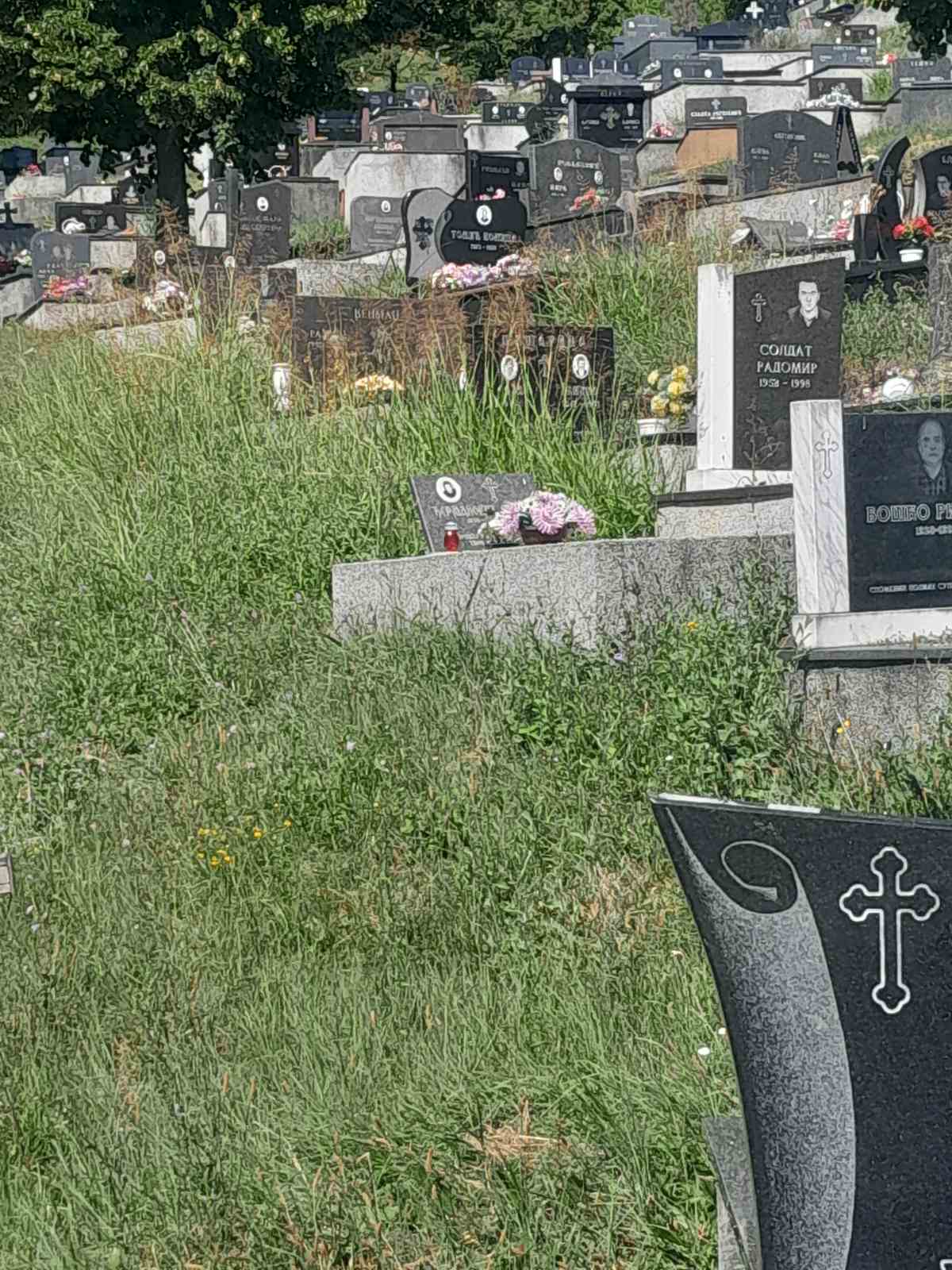 Gradsko groblje Pobrđe