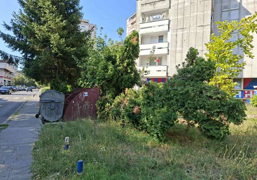 FOTO: USTUPLJENE FOTOGRAFIJE