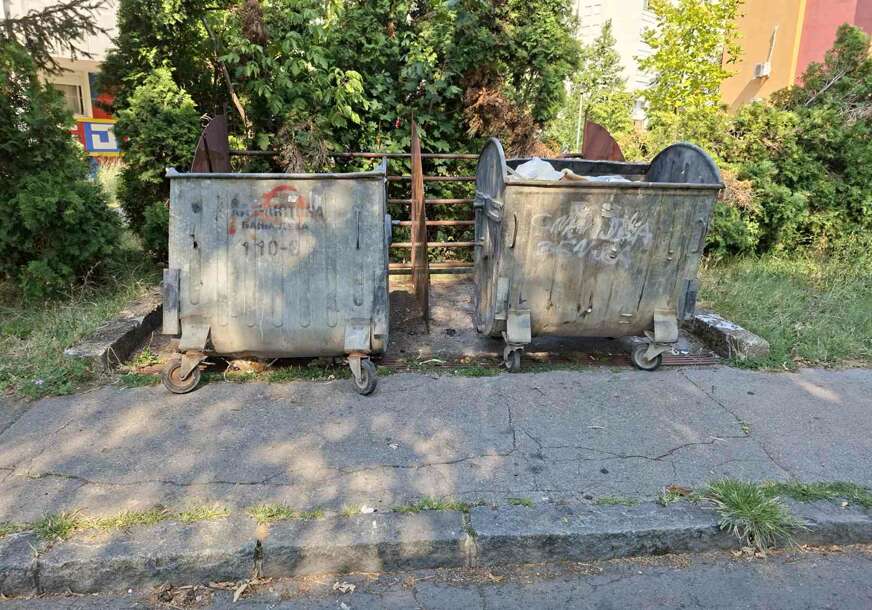 (FOTO) Sramotne slike iz naselja Borik: Zmija u nepokošenoj travi, razvaljeni kontejneri i MRTVE PTICE