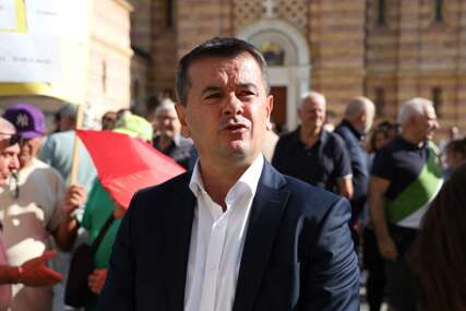 GUBITNIK DANA Radovan Majkić