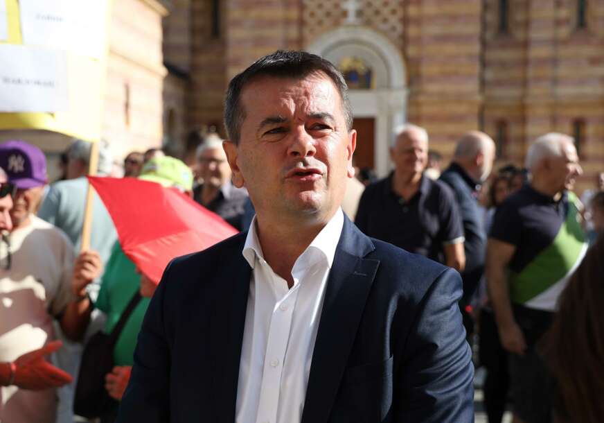 GUBITNIK DANA Radovan Majkić