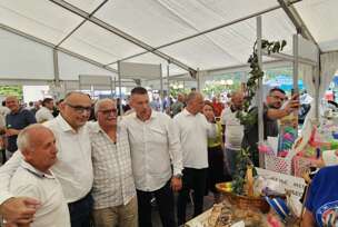 Darko Banjac, Sajam šljive