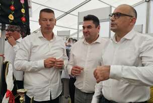 Darko Banjac, Sajam šljive