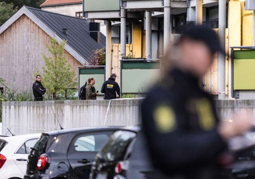 policija danske