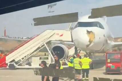Avion prizemljila ptica 
