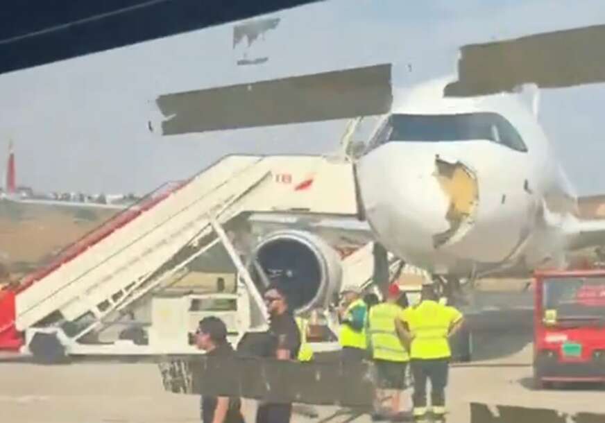 Avion prizemljila ptica 
