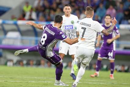 detalj sa utakmice Fiorentina - Polisja