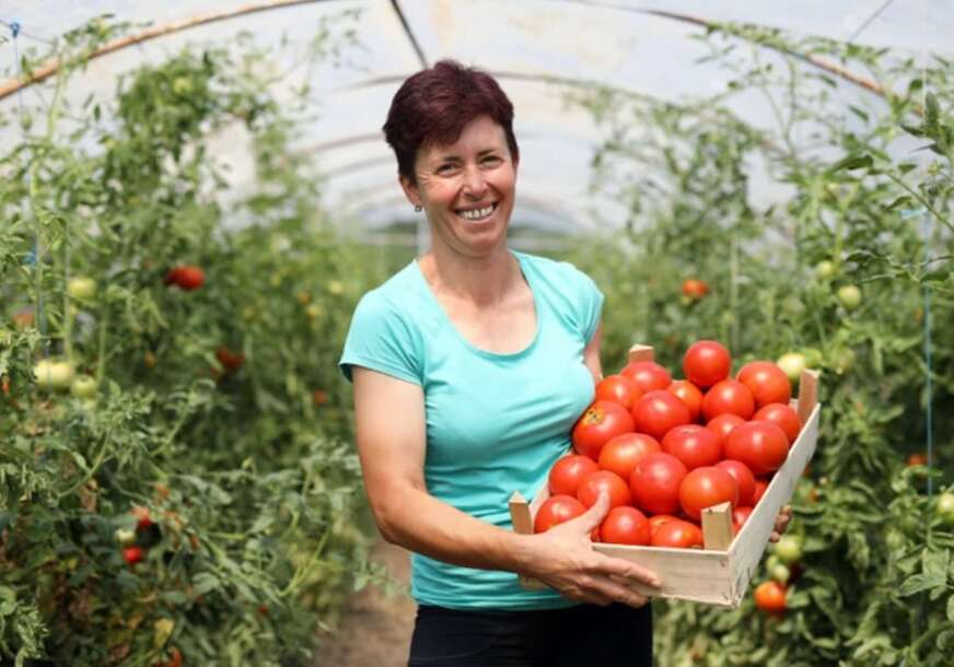 Gordana Glišić