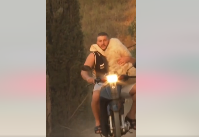 mladić spasao ovcu iz požara