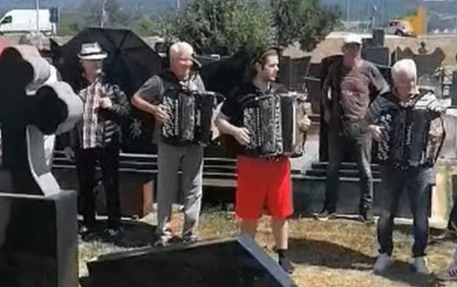 Harmonikaši