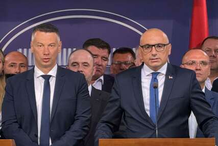Banjac, Nešić, Trninić: Poznata imena nosilaca lista NPS i DNS za opšte izbore