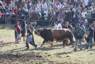 FOTO: MIOMIR JAKOVLJEVIĆ/RINGIER