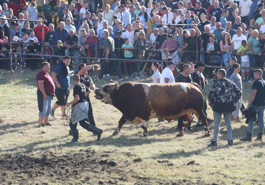 (FOTO, VIDEO) Jelenko i Roki POBRALI LOVORIKE: Završen jubilarni 60. Kočićev zbor u Stričićima