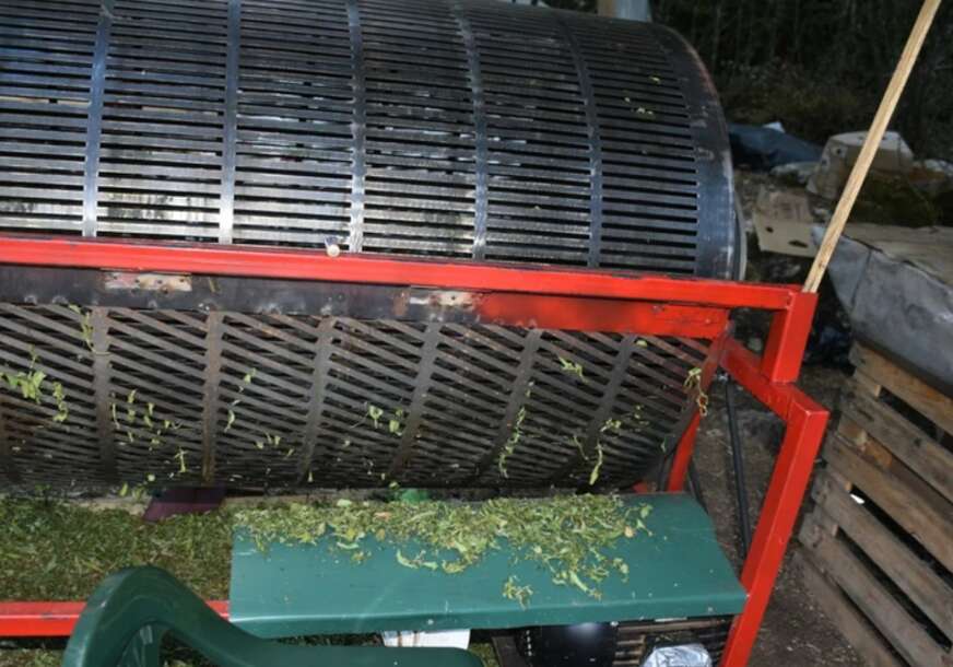 Plantaža marihuane u Crnoj Gori