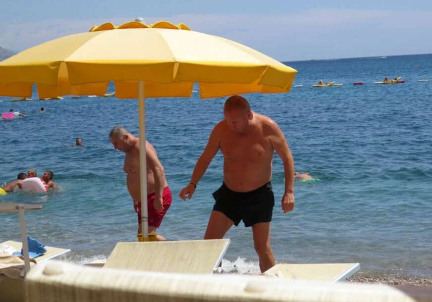 Radiša Trajković Đani
