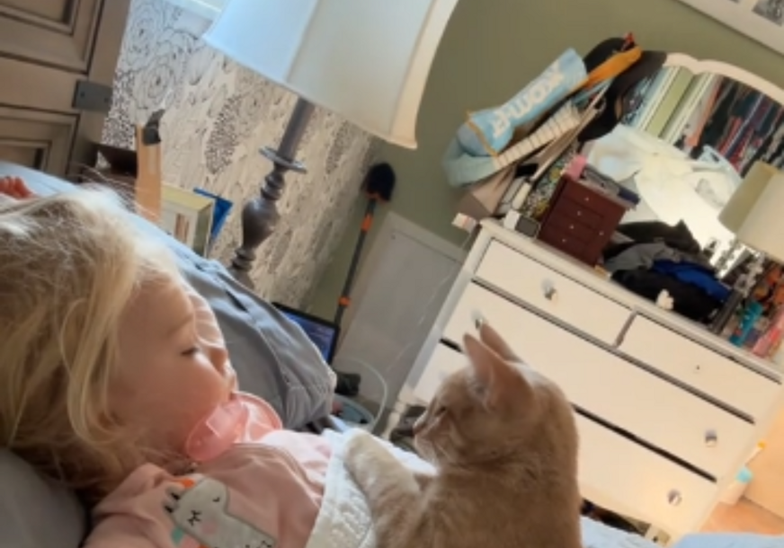 (VIDEO) Ovo će vam izmamiti osmijeh na lice: Ovaj mačak toliko voli svoju malu vlasnicu da se odlučio na DRASTIČAN POTEZ, snimak za kratko vrijeme postao viralan na mrežama