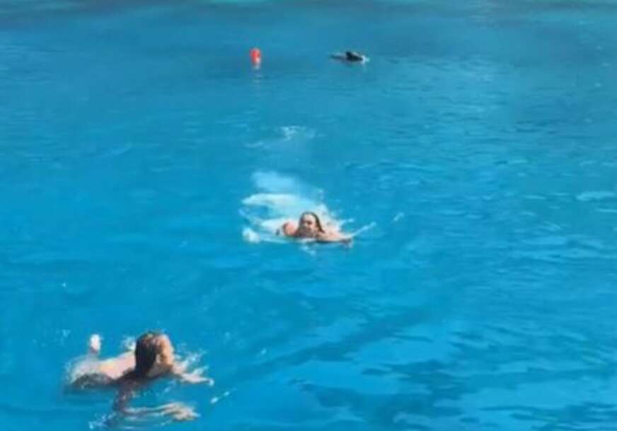 (VIDEO) "Bila je slatka iz daljine" Djevojke uživale u prelijepom grčkom tirkiznom moru, pa ugledale NEOČEKIVANO DRUŠTVO