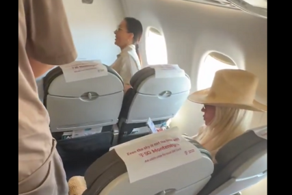 (VIDEO) Internet "eksplodirao": Jelena Karleuša OBJAVILA SNIMAK SA CECOM iz aviona i šokirala brutalnim komentarom