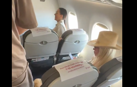 jelena karleuša i ceca ražnatović