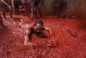 Festival La Tomatina