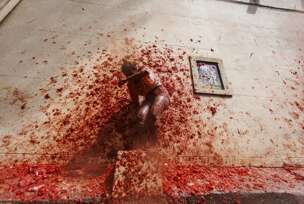 Festival La Tomatina