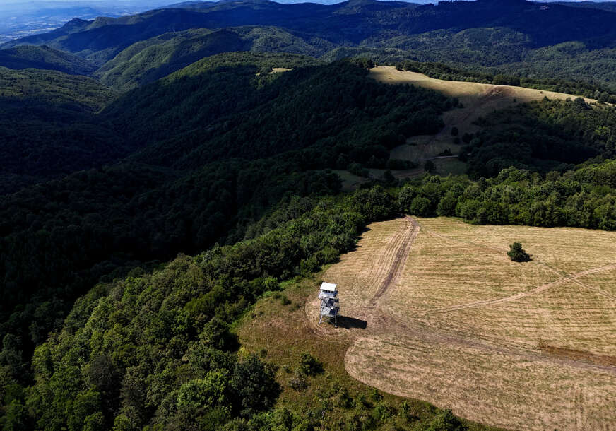 nacionalni park kozara , gola planina 