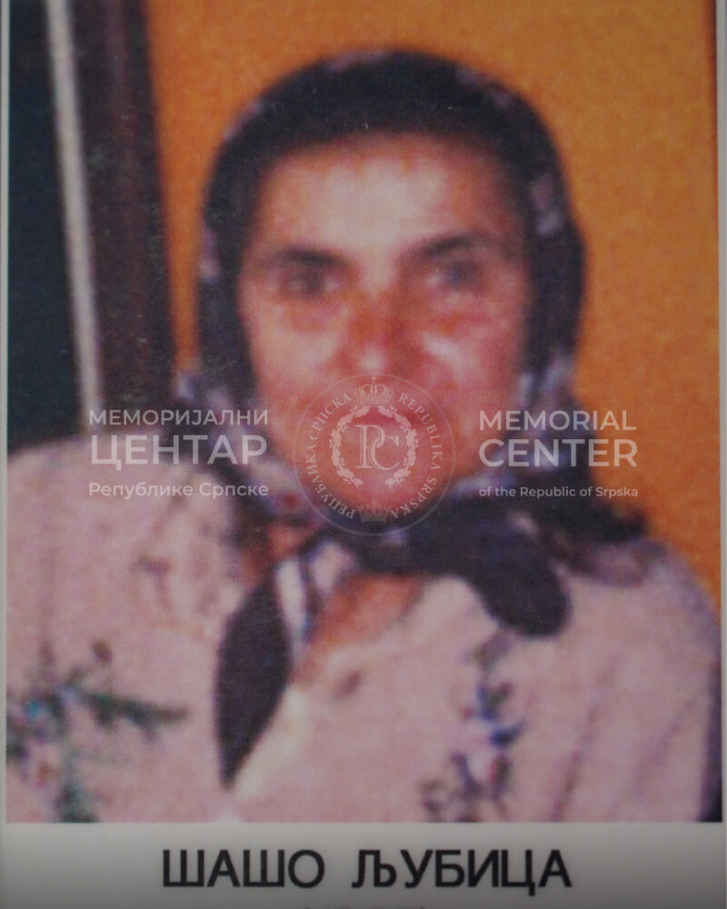 stradali u oluji , danica šašo 