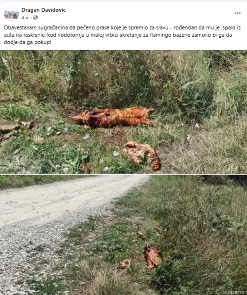 prase, pečenje pored puta