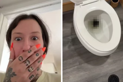 Slijepi miš u WC šolji
