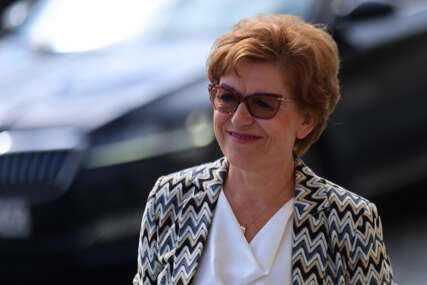 GUBITNIK DANA Zora Vidović