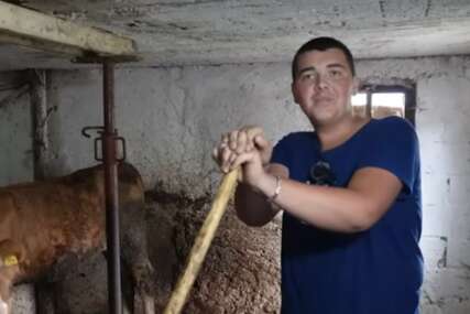 (VIDEO, FOTO) Tinejdžer iz Jajca oduševio region: Kosi, muze krave, pravi pitu, radi u firmi, a voli i muziku, pa ima fotku sa poznatom pjevačicom