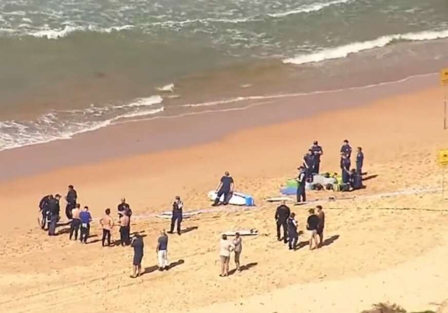 (VIDEO) "Izgubio je VIŠE UDOVA" Horor na popularnoj plaži u Sidneju, AJKULA usmrtila muškarca