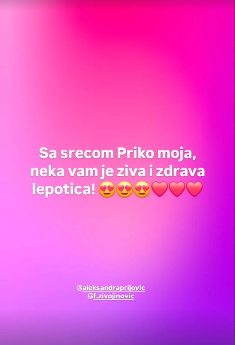 FOTO: MILICATODOROVICOFFICIAL/INSTAGRAM/SCREENSHOT