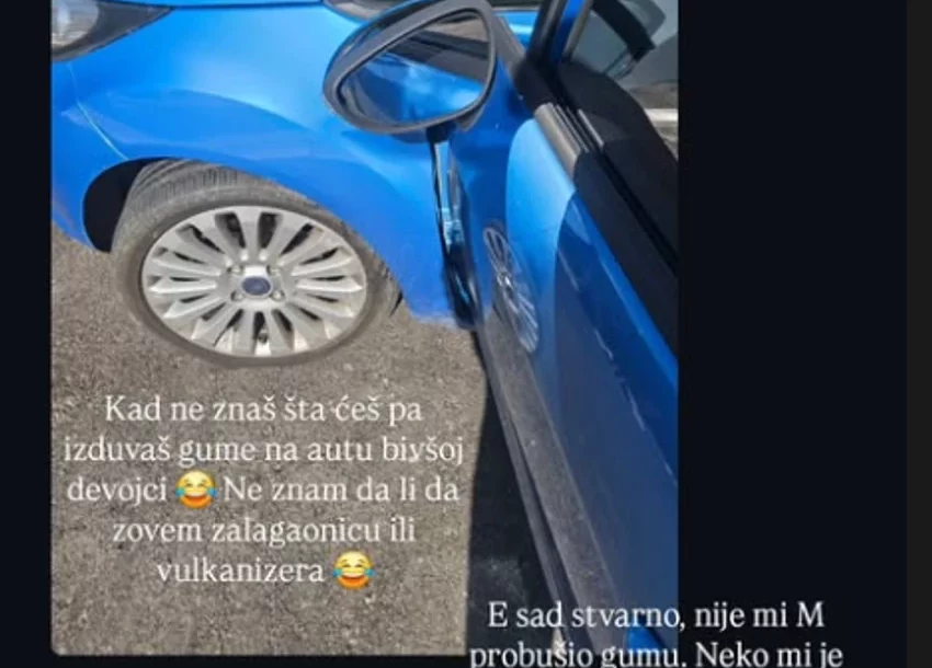 milijana bogdanović