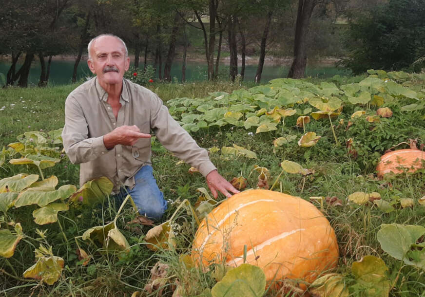 POBJEDNIK DANA Milo Višnjić