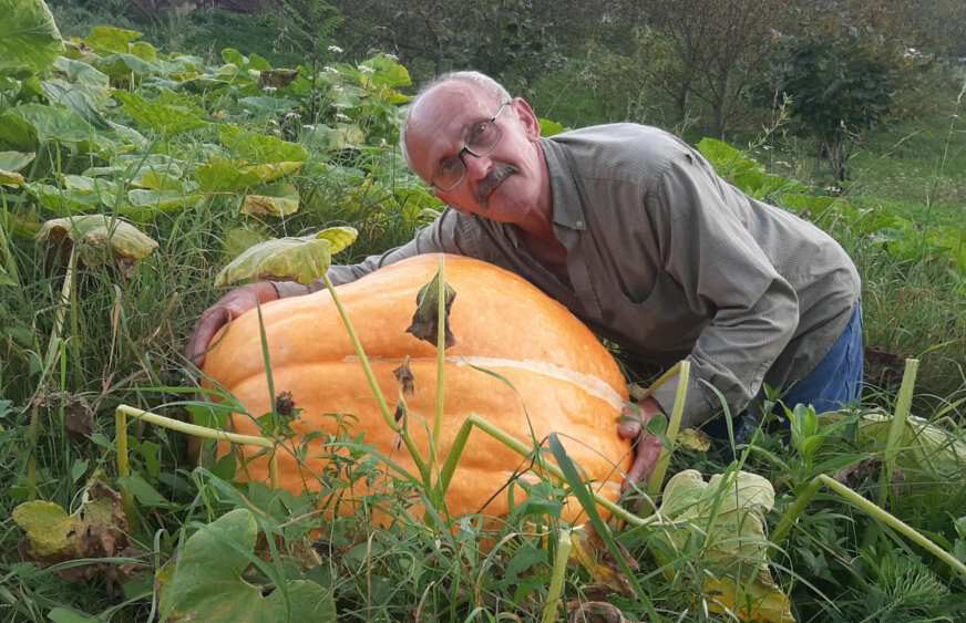 (FOTO) Biće i za komšije: Na imanju Višnjića kod Foče rodile džinovske bundeve od 70 kilograma, otkrijte u čemu je tajna