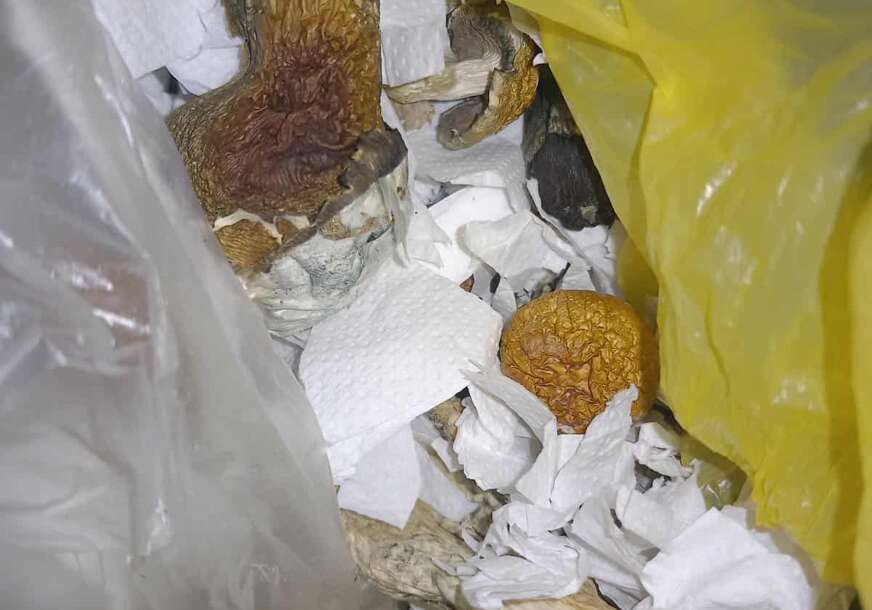(FOTO) Uhapšene 2 osobe: Policija pronašla HALUCINOGENE GLJIVE