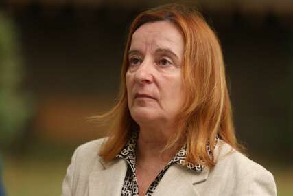 Tanja Topić analitičarka