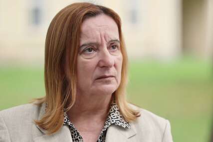 Tanja Topić analitičarka